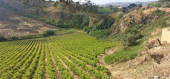 Feudo Del Biviere Alloggio per agriturismo Santa Ninfa